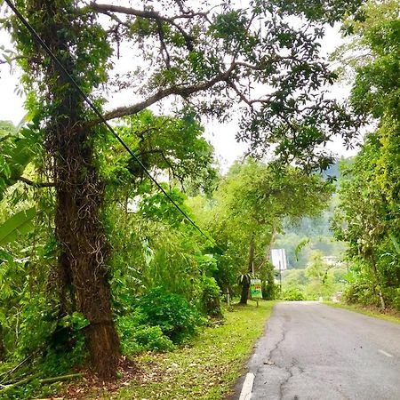 Selesa Resort Homestay Janda Baik ภายนอก รูปภาพ