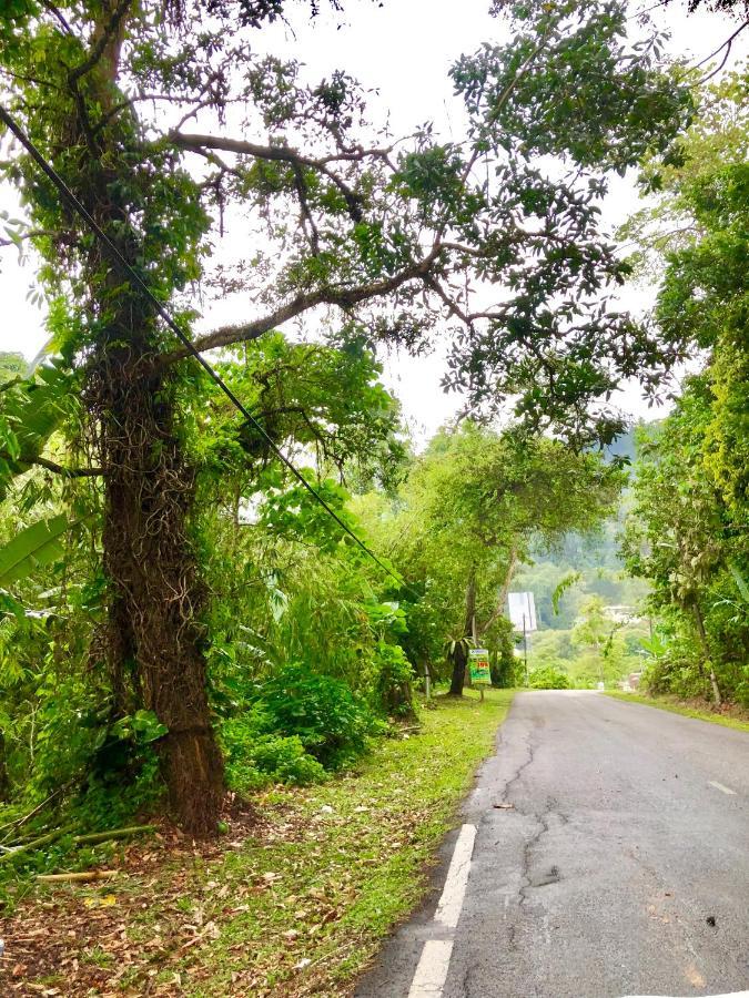 Selesa Resort Homestay Janda Baik ภายนอก รูปภาพ